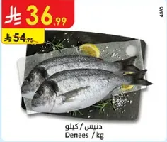 سمك دنيز لكل كيلو.