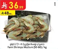 جمبري وسط مزارع (50-60) / كيلو