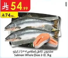 سلمون كامل (مقاس 2-3) / كيلو