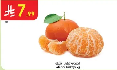 افندي تردي / كيلوا