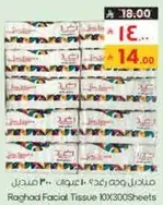 مناديل وجه رعد 300 ورقه 10