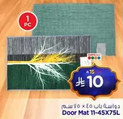 Door Mat 11-45X75L