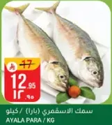 سمك الاستاكوزا (بارا) / كيلوجرام.