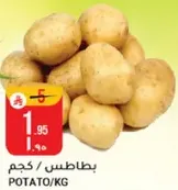 Potato sold by kilogram.