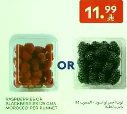 توت احمر او اسود - المغرب 125 جرام - حجم بالعلبه