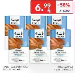 دقيق فينا متعدد الاستخدامات 1 كجم × 6