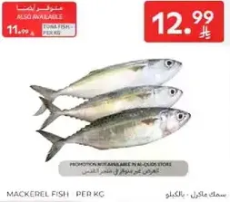 سمك مكرل متوفر بالكيلو.