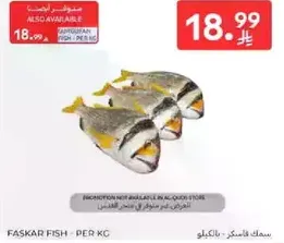 سمك فاسكر - بالكيلو