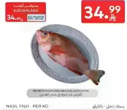 سمك ناجل - بالكيلو