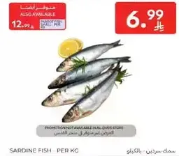 سمك سردين - بالكيلو