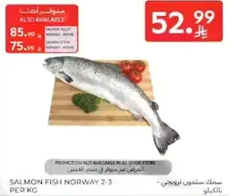 سمك سلمون نرويجي 2.3 لكل كجم.