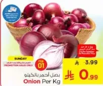 بصل احمر بالكيلو