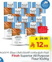 دقيق فاين عالي الجوده 10x1كجم