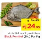 Black Pomfret (Big) Per Kg