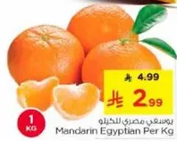 يوسفي مصري بالخيله