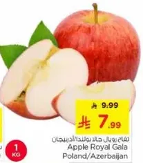 تفاح رويال جالا بولندا/اذربيجان