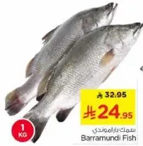 سمك باراموندي