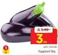 باذنجان كبير