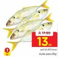 Ayila para Big