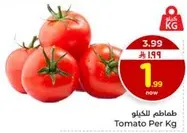 طماطم للكilo