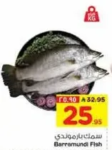سمك باراموندي
