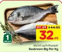 سيريم كبير للكيلو