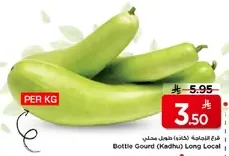 قرع زجاجي (كادهو) طويل محلي