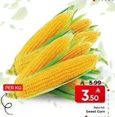 Sweet Corn