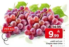عنب احمر تشيلي