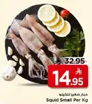 حبار صغير للكيلو