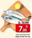 سمك باجه صغير للحمايه.