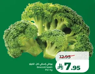 بروكلي اسباني لكل كيلو