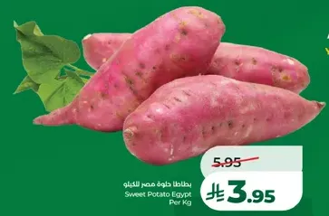 Sweet Potato Egypt