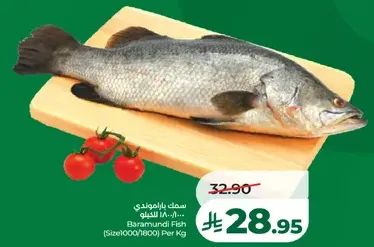 سمك باراموندي (1800/1000) لكل كيلو