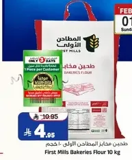 طحين مخابز المطاحن الاولي 10 كجم