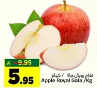 تفاح رويال جالا / كيلو