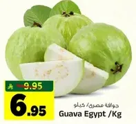 جوافه مصر /كغ