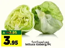 Iceberg lettuce