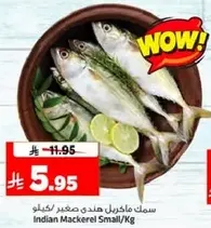 سمك ماكريل هندي صغير/كجم