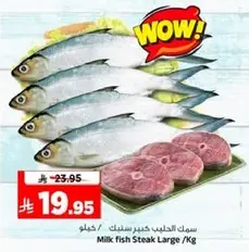 Large milk fish steak.