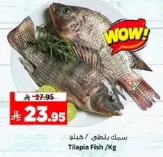 سمك بلطي / كجم