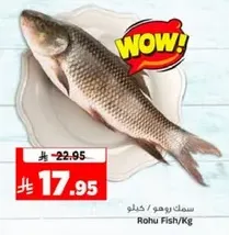 سمك روهو / كيلو