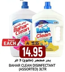 BAHAR CLEAN DISINFECTANT (ASSORTED) 3LTR