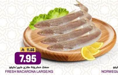 Fresh Macarona Large