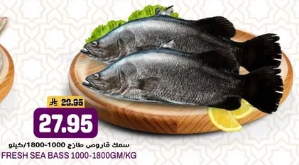 Fresh Sea Bass 1000-1800GM/KG