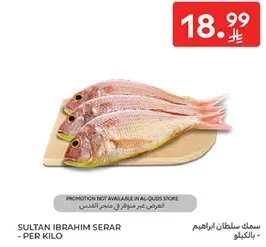 سمك سلطان ابراهيم سرار - بالكيلو