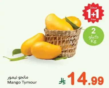 مانجو تيمور