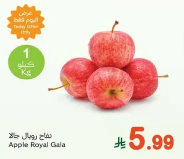 تفاح رويال جالا