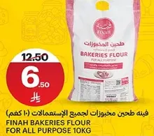 فينه طحين مخزونات لجميع الاستخدامات (10 كجم)