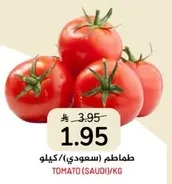 طماطم (سعودي)